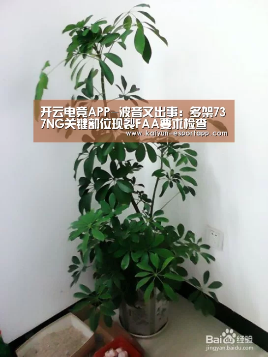 开云电竞APP-波音又出事:多架737NG关键部位现裂FAA要求检查(图1) 开云真人娱乐中心