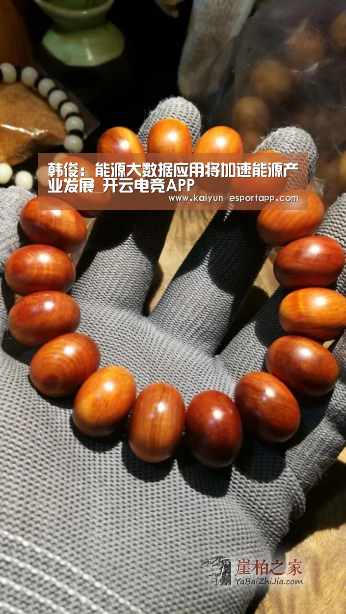 韩俊:能源大数据应用将加速能源产业发展_开云电竞APP(图1) 开云篮球竞猜