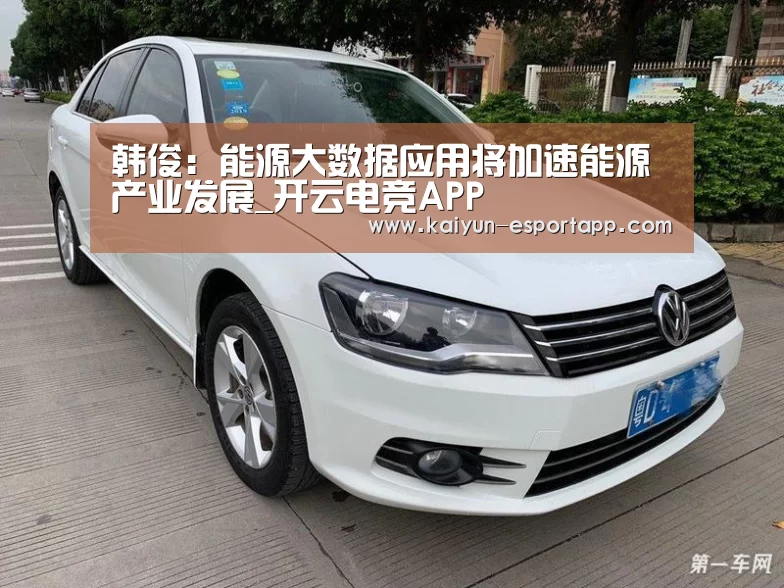 韩俊:能源大数据应用将加速能源产业发展_开云电竞APP(图2) 开云电竞APP