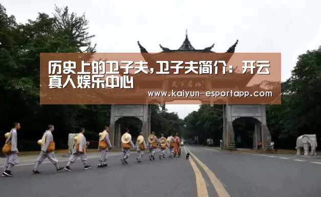 历史上的卫子夫,卫子夫简介:开云真人娱乐中心(图2) 开云篮球竞猜