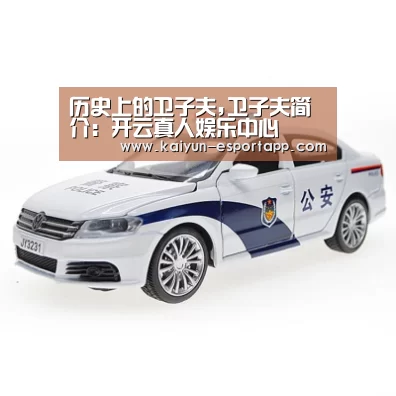 历史上的卫子夫,卫子夫简介:开云真人娱乐中心(图4) 开云电竞APP