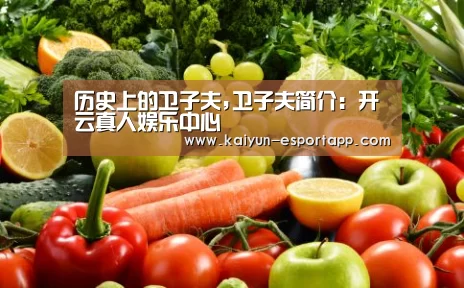 历史上的卫子夫,卫子夫简介:开云真人娱乐中心(图3) 开云登录入口