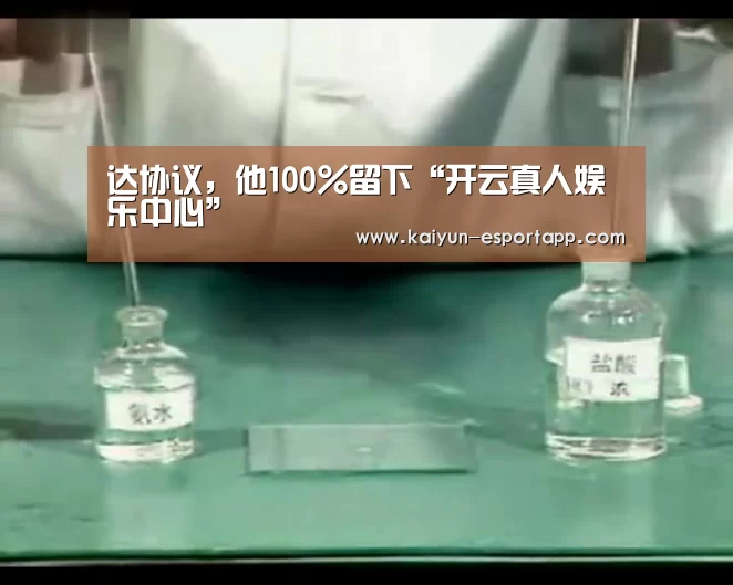 开云真人娱乐中心