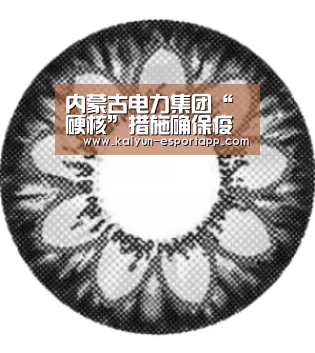 内蒙古电力集团“硬核”措施确保疫情防控期间的电力供应_开云真人娱乐中心(图1) 开云真人娱乐中心