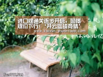 开云电竞APP