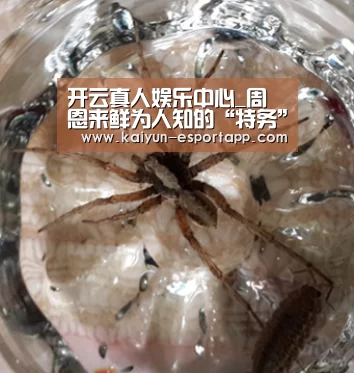 开云真人娱乐中心_周恩来鲜为人知的“特务”生涯(图1) 开云电竞APP