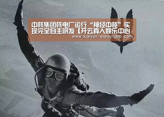 中核集团核电厂运行“神经中枢”实现完全自主研发【开云真人娱乐中心】(图3) 开云篮球竞猜