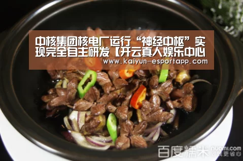 中核集团核电厂运行“神经中枢”实现完全自主研发【开云真人娱乐中心】(图1) 开云真人娱乐中心
