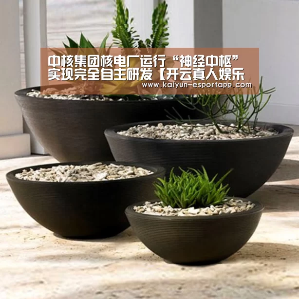中核集团核电厂运行“神经中枢”实现完全自主研发【开云真人娱乐中心】(图2) 开云真人娱乐中心