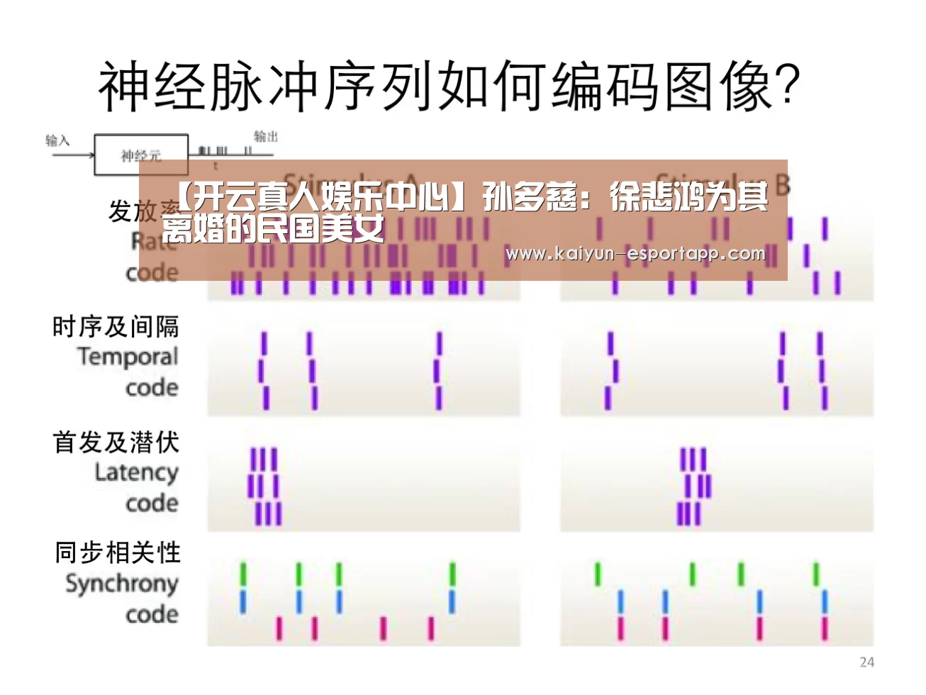开云登录入口