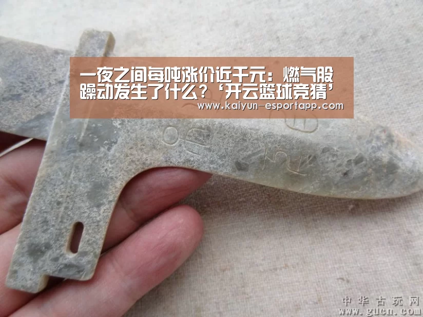 一夜之间每吨涨价近千元:燃气股躁动发生了什么?‘开云篮球竞猜’(图4) 开云电竞APP