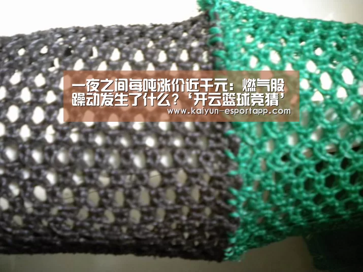 一夜之间每吨涨价近千元:燃气股躁动发生了什么?‘开云篮球竞猜’(图2) 开云电竞APP