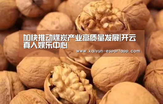 加快推动煤炭产业高质量发展|开云真人娱乐中心(图1) 开云篮球竞猜
